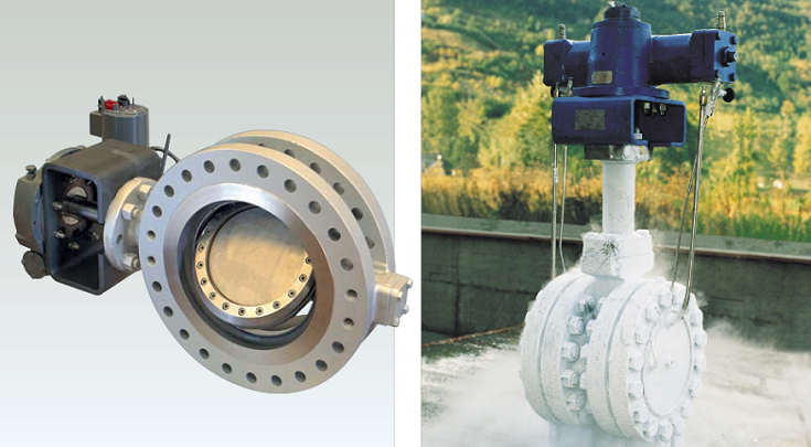 Vanessa Rotary Process Valves