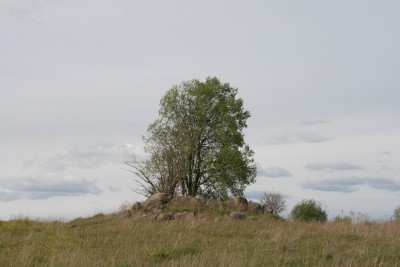 Города России / IMG_9297.JPG
3.85 МБ, Просмотров: 81732