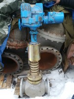 Помогите опознать! / IMG_20171225_115501.jpg
2.65 МБ, Просмотров: 9740