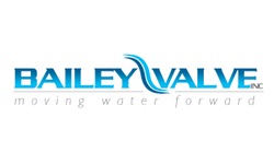 Кто узнает производителей? / США.Bailey Valves Inc.jpg
12.95 КБ, Просмотров: 39644