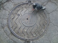 Re: Кто узнает производителей? / DSC08150.JPG
2.19 МБ, Просмотров: 42244