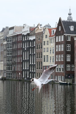 Амстердам.. Город, где можно всё! / IMG_8333.jpg
2.44 МБ, Просмотров: 66486