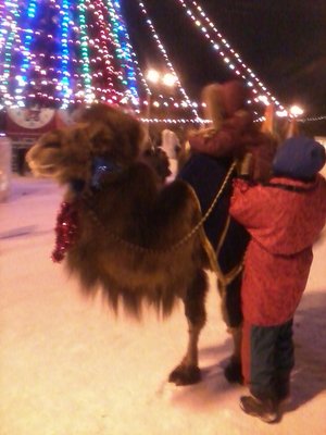 Провожая старый 2010год и встречая новый 2011 с 13-14 января / Экзотика 2.jpg
168.48 КБ, Просмотров: 19769