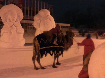 Провожая старый 2010год и встречая новый 2011 с 13-14 января / Экзотика.jpg
118.19 КБ, Просмотров: 19769