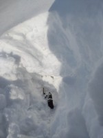 Будни и наблюдения арматурщиков / IMG-20230307-WA0024.jpg
123.86 КБ, Просмотров: 8798