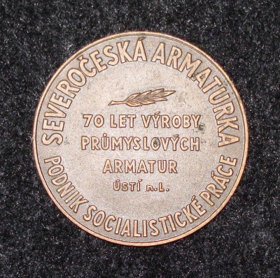 Продам медаль Severočeská armaturka 70 лет 1899 - 1969 / DSC05086.JPG
274.86 КБ, Просмотров: 27655