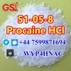 Procaine HCl CAS 51-05-8 – Trusted Source with Verified EU Deliveries