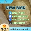 New BMK Glycidate Powder CAS 5413-05-8 - Lab Certified & Batch Tested
