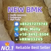 Premium BMK Glycidate Powder CAS 5413-05-8 Reliable Supplier for Research
