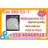 CAS 593-51-1 Methylamine hydrochloride Factory Supply High Purity 100% Safe Delivery
