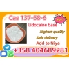 CAS 137-58-6 Lidocaine High Purity Powder China Factory Supplier