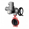 Затвор дисковый ГРАНВЭЛ ЗПВС -FL(w)-3-050-Е с AUMA SQ05.2