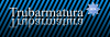 Trubarmatura
