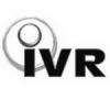 Штамп «IVR Valvole a sfera S.p. A» на отливке