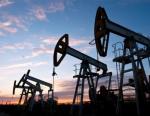 Среднесуточная добыча нефти в РФ в ноябре уменьшилась на 2,4%