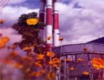 ОАО «МОЭК» готовят к продаже новому собственнику