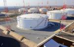 «Транснефть – Дружба» обновила резервуар на ЛПДС «Никольское»