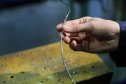Посещение завода "СИЛУР" по изготовлению уплотнений из ТРГ