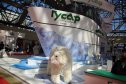«Нефть и газ» / MIOGE-2015. День первый. Встречи, впечатления, тенденции
