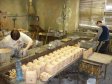 Наша экскурсия начинается с участка заготовок для метода литья по выплавляемым моделям