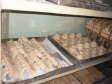 Готовые модели будущих деталей электроприводов