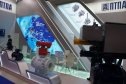 ОАО "ПТПА": стенд и новинки представленные в рамках Нефтегаз-2012