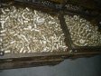Завод Галлоп: штамповочный цех
