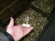 Вот так выглядит заготовка будущего крана ГАЛЛОП