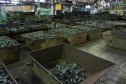 Заготовки ожидающие термообработку
