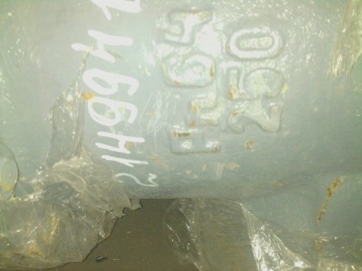 что за зверь? / Ar14387.jpeg
68.53 КБ, Просмотров: 11816