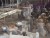 помогите определить чтоза четверники