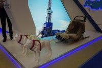 Выставка «Нефтегаз -2018» / DSC00525.JPG
3.47 МБ, Просмотров: 39245