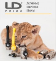 ЛД Прайд-Латунное направление (Челябинск) / 0--.jpg
46.33 КБ, Просмотров: 31647