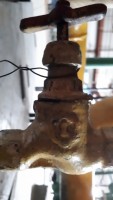 Re: Кто узнает производителей? / 20190524_104217.jpg
128.99 КБ, Просмотров: 73235
