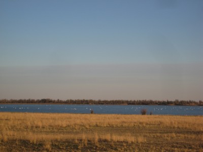 Природа Урала. / z_5e5ae625.jpg
211.96 КБ, Просмотров: 108604