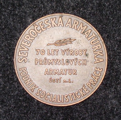 Продам медаль Severočeská armaturka 70 лет 1899 - 1969 / DSC05086.JPG
274.86 КБ, Просмотров: 37273