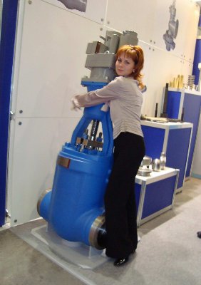 PCVEXPO-2009: "Чеховский завод Машиностроитель" / DSC00171.JPG
118.96 КБ, Просмотров: 8172
