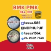 CAS 28578-16-7 pmk  Ethyl Glycidate Organic  White Powder  5449-12-7 BMK 99% High Purity
