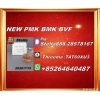 New B.MK CAS 5449-12-7 PM.K Cost-effective solution