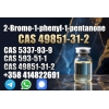 49851-31-2