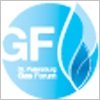 Логотип выставки «VIII Петербургский Международный Газовый Форум (ПМГФ–2018)»