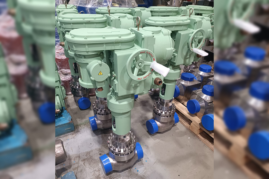 АО «ЗЭО Энергопоток» поставило задвижки, обратные затворы и обратные клапаны для АЭС «Руппур»