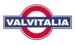 Valvitalia объявила о приоритете работы на Российском рынке ТПА