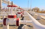 «ЛУКОЙЛ» устраняют последствия утечки нефти из-за разгерметизации трубопровода
