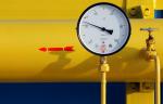 Порядка 2,4 млрд рублей будет направлено на газификацию Мордовии в следующие пять лет со стороны «Газпрома»
