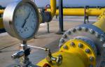 В 2019 году В Пермском крае к газу было подключено порядка 7,5 тыс. домовладений