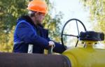 Газовики продолжают строительство трубопровода в Ржевском районе Тверской области