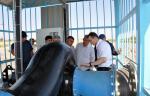 Проект по инновационному развитию водного хозяйства реализуется в Туркменистане