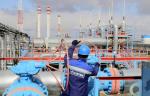 Представители OMV AG и ПАО «Газпром» обсудили ход сотрудничества