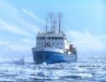 «Роснефть» завершила геофизические исследования на Альбановском лицензионном участке в Баренцевом море